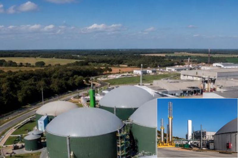 Biometano no Brasil como a indústria de proteína pode lucrar com resíduos