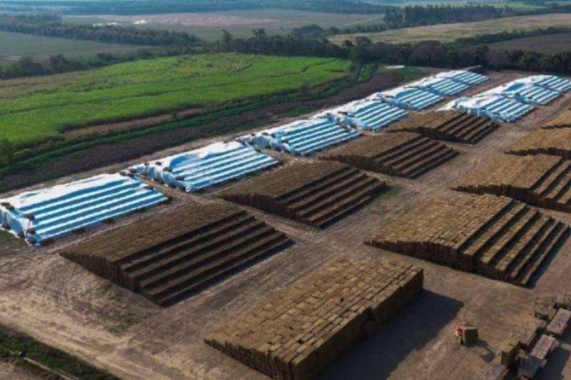 RESÍDUOS AGRÍCOLAS COMO FONTE DEENERGIA